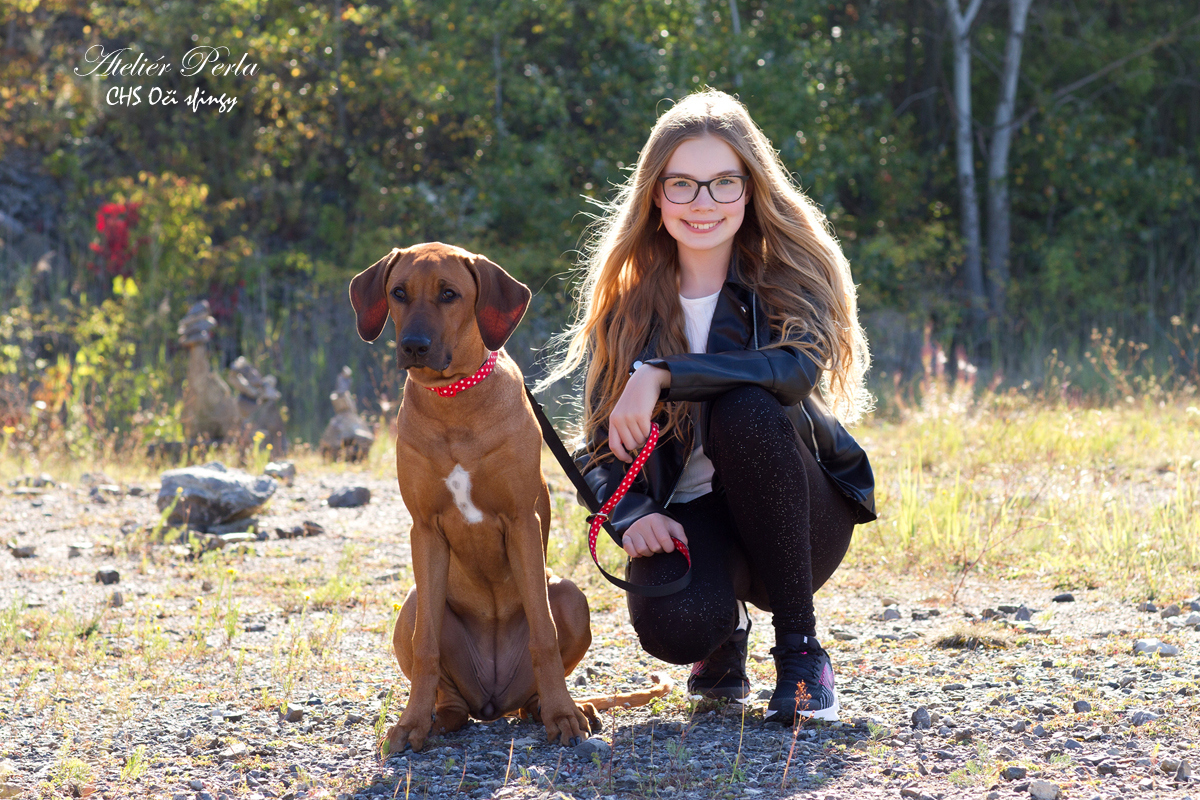 Rhodéský ridgeback Sophia a Isabella